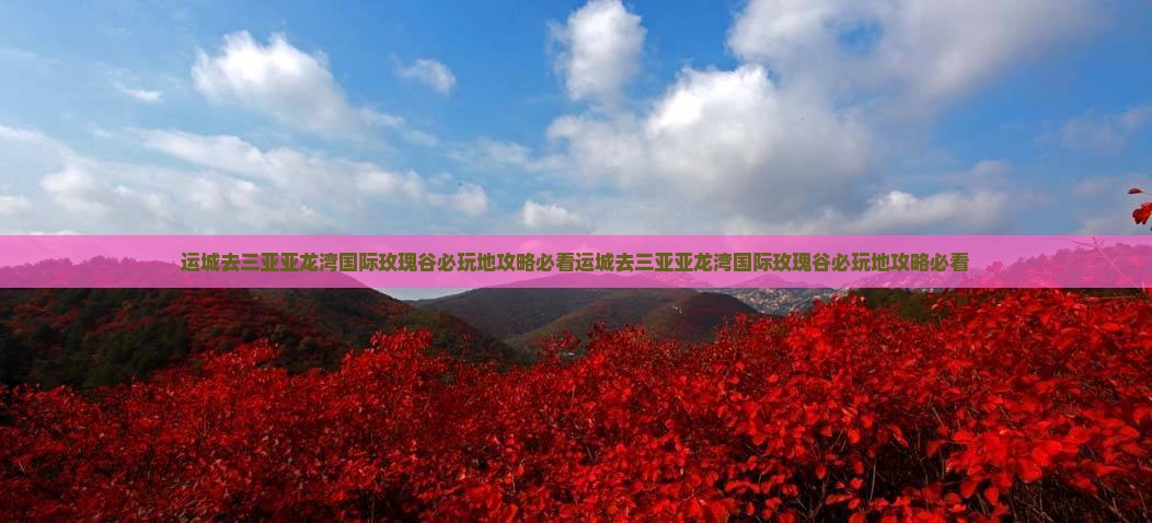 运城去三亚亚龙湾国际玫瑰谷必玩地