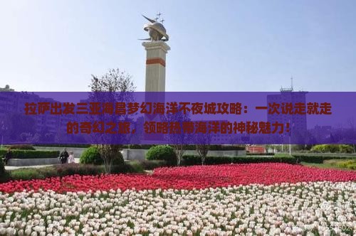 拉萨出发三亚海昌梦幻海洋不夜城攻略