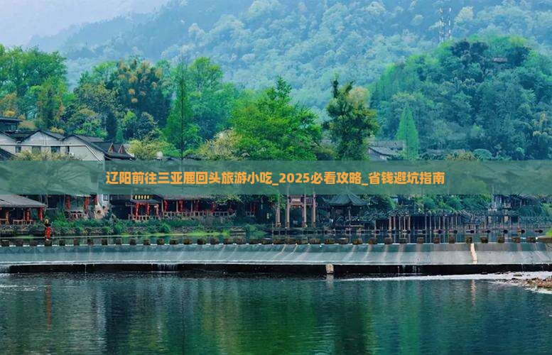 辽阳前往三亚鹿回头旅游小吃