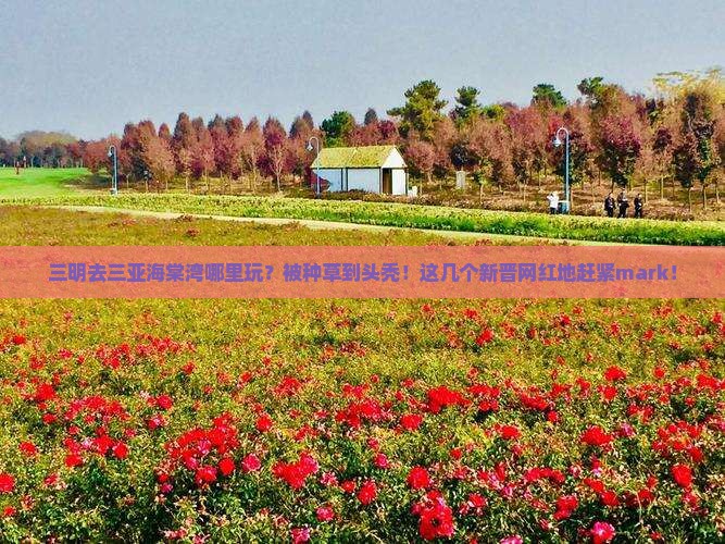 三明去三亚海棠湾哪里玩