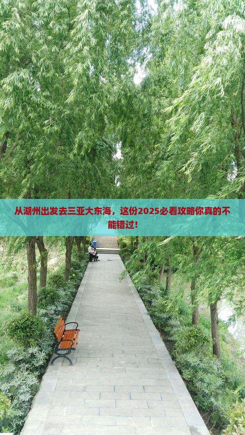 湖州出发三亚大东海旅游打卡点