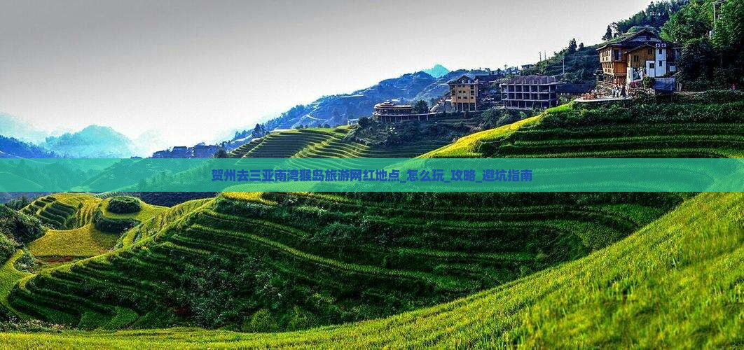 贺州去三亚南湾猴岛旅游网红地点