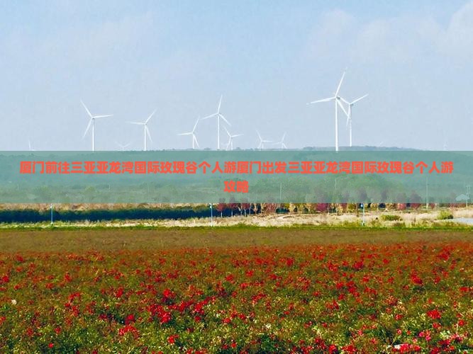 厦门前往三亚亚龙湾国际玫瑰谷个人游