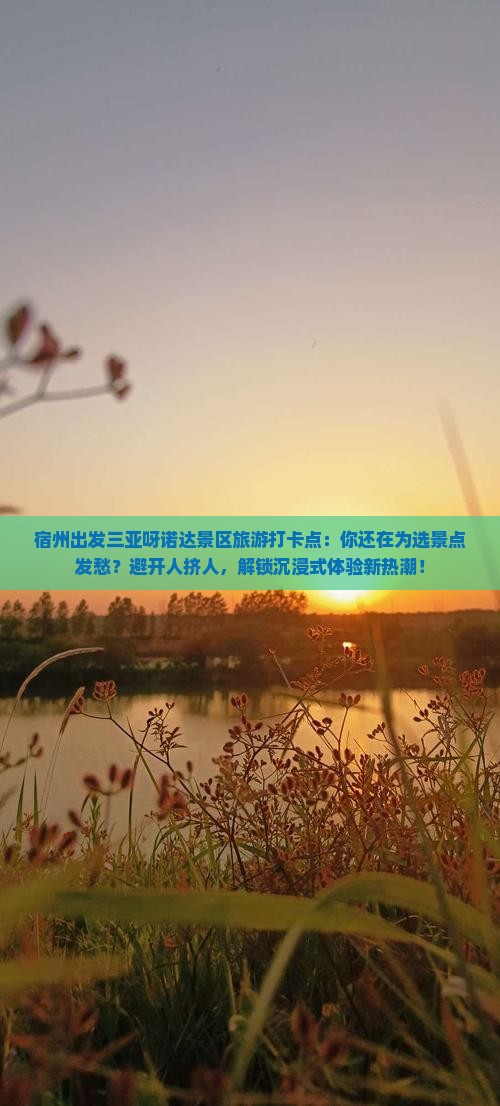 宿州出发三亚呀诺达景区旅游打卡点