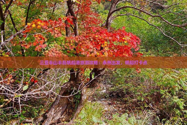 永州前往三亚半山半岛帆船港旅游打卡点