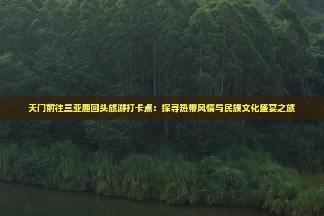 天门前往三亚鹿回头旅游打卡点：探寻热带风情与民族文化盛宴之旅