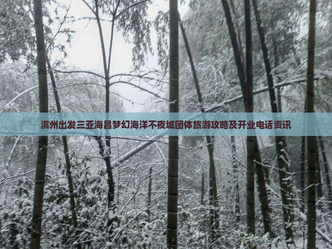 滨州出发三亚海昌梦幻海洋不夜城团体旅游攻略及开业电话资讯