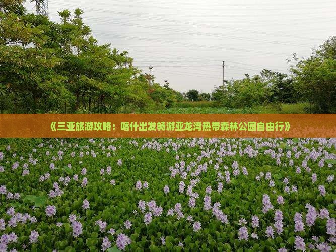 《三亚旅游攻略：喀什出发畅游亚龙湾热带森林公园自由行》