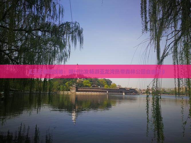 《三亚旅游攻略：喀什出发畅游亚龙湾热带森林公园自由行》