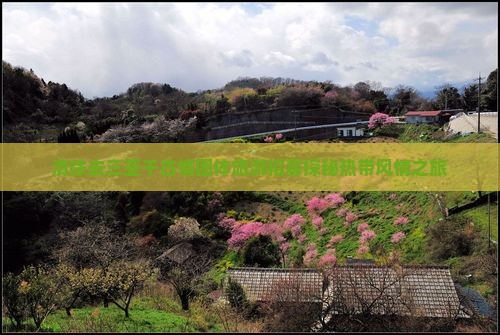 清徐去三亚千古情团体旅游招募探秘热带风情之旅