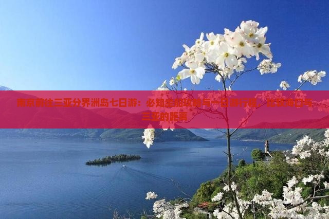 南京前往三亚分界洲岛七日游：必知坐船攻略与一日游行程，比较海口与三亚的距离
