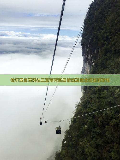 哈尔滨自驾前往三亚南湾猴岛精选玩地全程旅游攻略