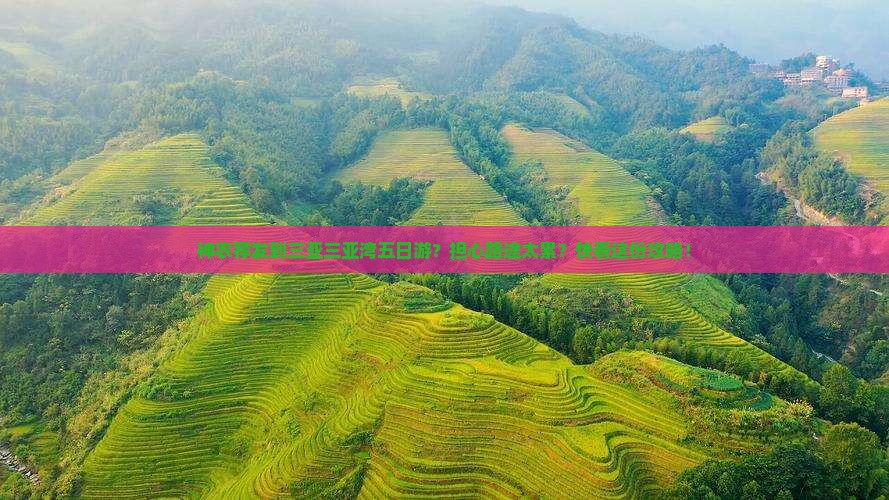神农荐发到三亚三亚湾五日游？担心路途太累？快看这份攻略！
