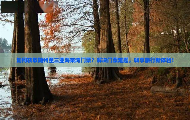 如何获取随州至三亚海棠湾门票？解决门票难题，畅享旅行新体验！