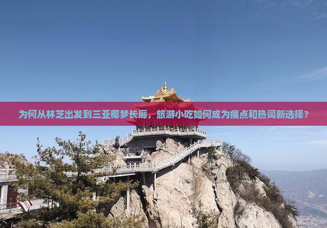 为何从林芝出发到三亚椰梦长廊，旅游小吃如何成为痛点和热词新选择？