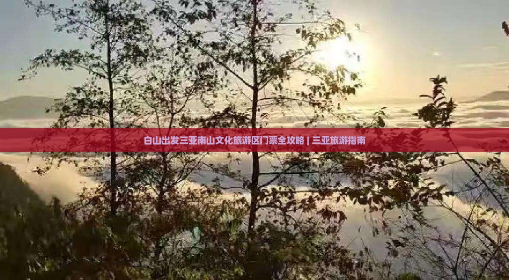 白山出发三亚南山文化旅游区门票全攻略 | 三亚旅游指南
