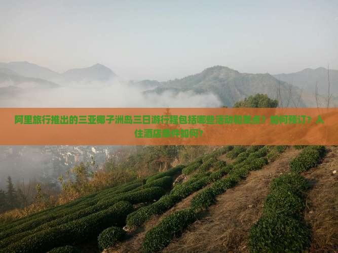 阿里旅行推出的三亚椰子洲岛三日游行程包括哪些活动和景点？如何预订？入住酒店条件如何？