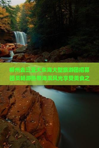 柳州去三亚大东海大型旅游团招募团员畅游热带海滨风光享受美食之旅