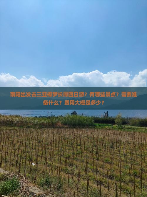 南阳出发去三亚椰梦长廊四日游？有哪些景点？需要准备什么？费用大概是多少？