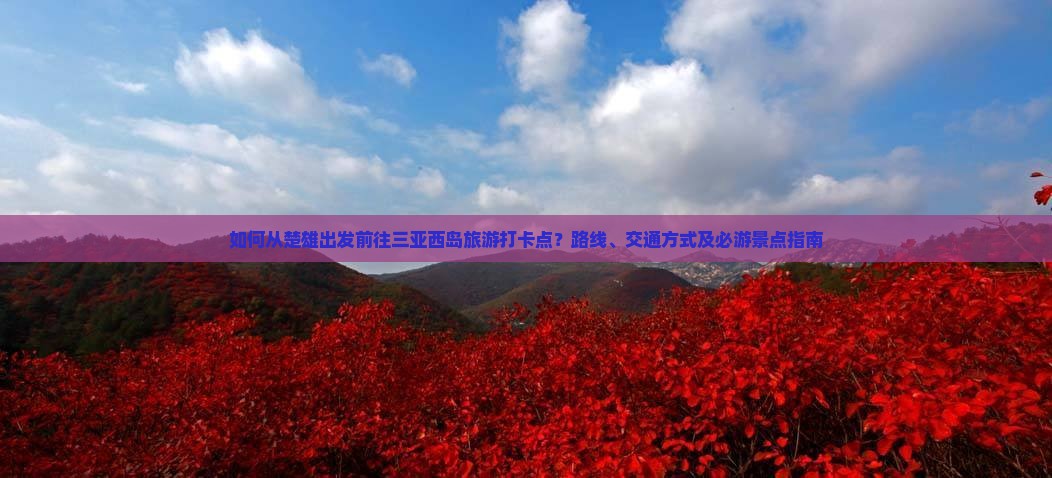 如何从楚雄出发前往三亚西岛旅游打卡点？路线、交通方式及必游景点指南