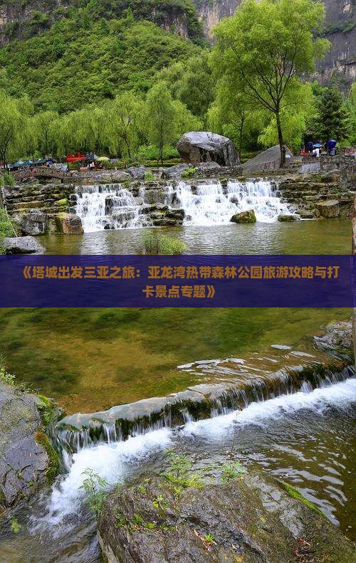 《塔城出发三亚之旅：亚龙湾热带森林公园旅游攻略与打卡景点专题》