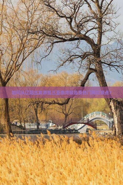 如何从辽阳出发游览三亚南湾猴岛及热门网红景点？