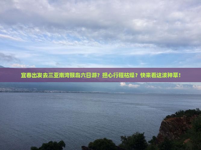 宜春出发去三亚南湾猴岛六日游？担心行程枯燥？快来看这波种草！