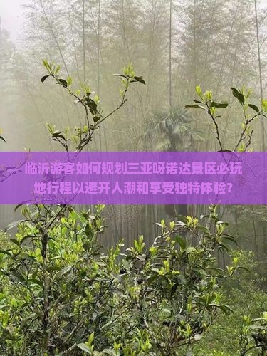 临沂游客如何规划三亚呀诺达景区必玩地行程以避开人潮和享受独特体验？