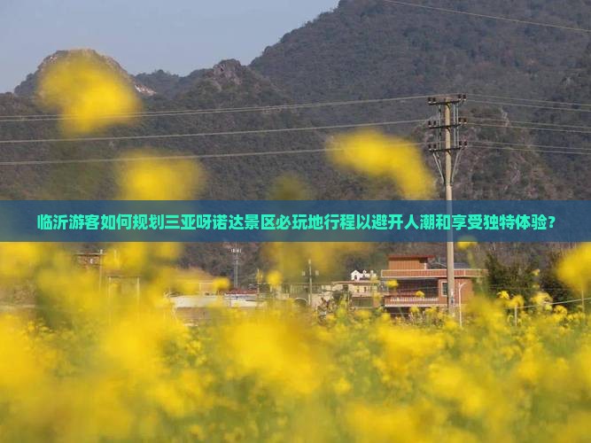 临沂游客如何规划三亚呀诺达景区必玩地行程以避开人潮和享受独特体验？