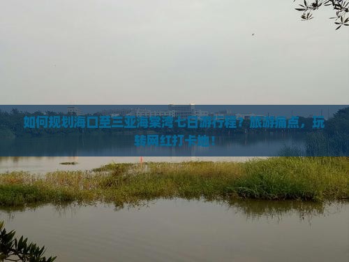 如何规划海口至三亚海棠湾七日游行程？旅游痛点，玩转网红打卡地！