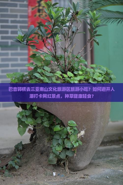 巴音郭楞去三亚南山文化旅游区旅游小吃？如何避开人潮打卡网红景点，种草健康轻食？