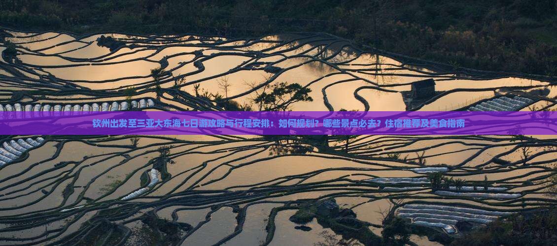 钦州出发至三亚大东海七日游攻略与行程安排：如何规划？哪些景点必去？住宿推荐及美食指南