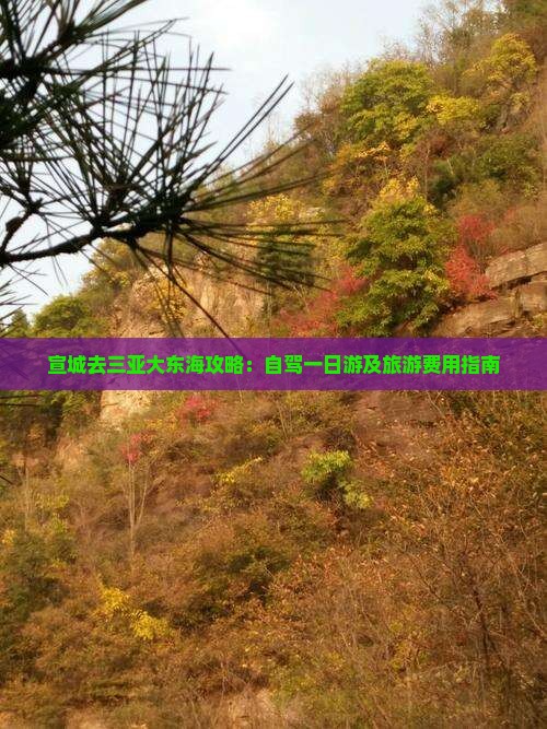 宣城去三亚大东海攻略：自驾一日游及旅游费用指南