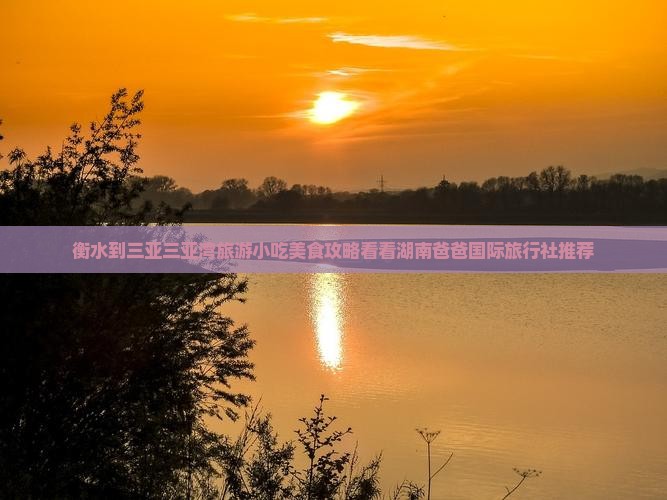 衡水到三亚三亚湾旅游小吃美食攻略看看湖南爸爸国际旅行社推荐