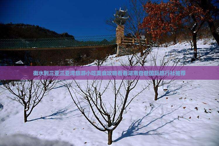 衡水到三亚三亚湾旅游小吃美食攻略看看湖南爸爸国际旅行社推荐