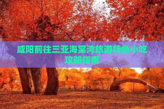 咸阳前往三亚海棠湾旅游特色小吃攻略指南