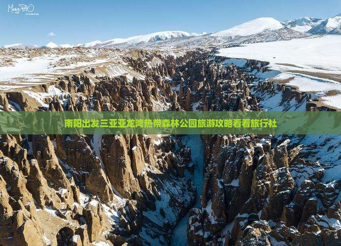 南阳出发三亚亚龙湾热带森林公园旅游攻略看看旅行社
