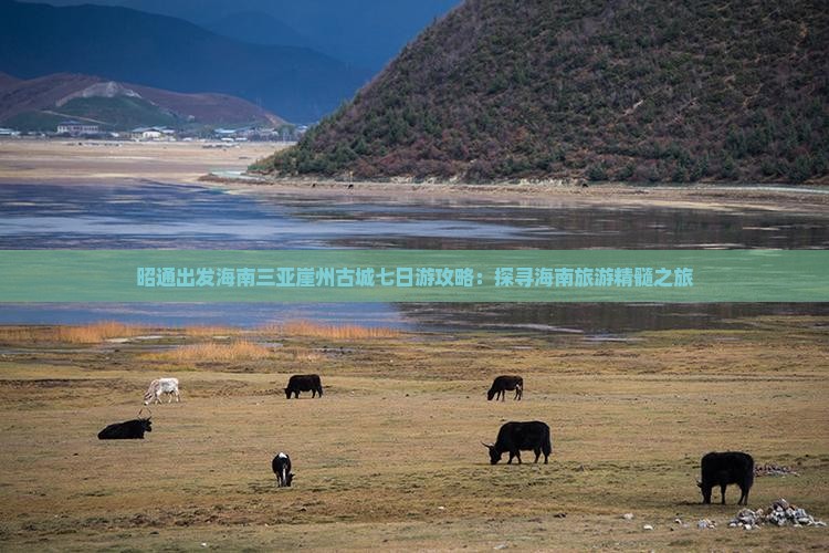 昭通出发海南三亚崖州古城七日游攻略：探寻海南旅游精髓之旅