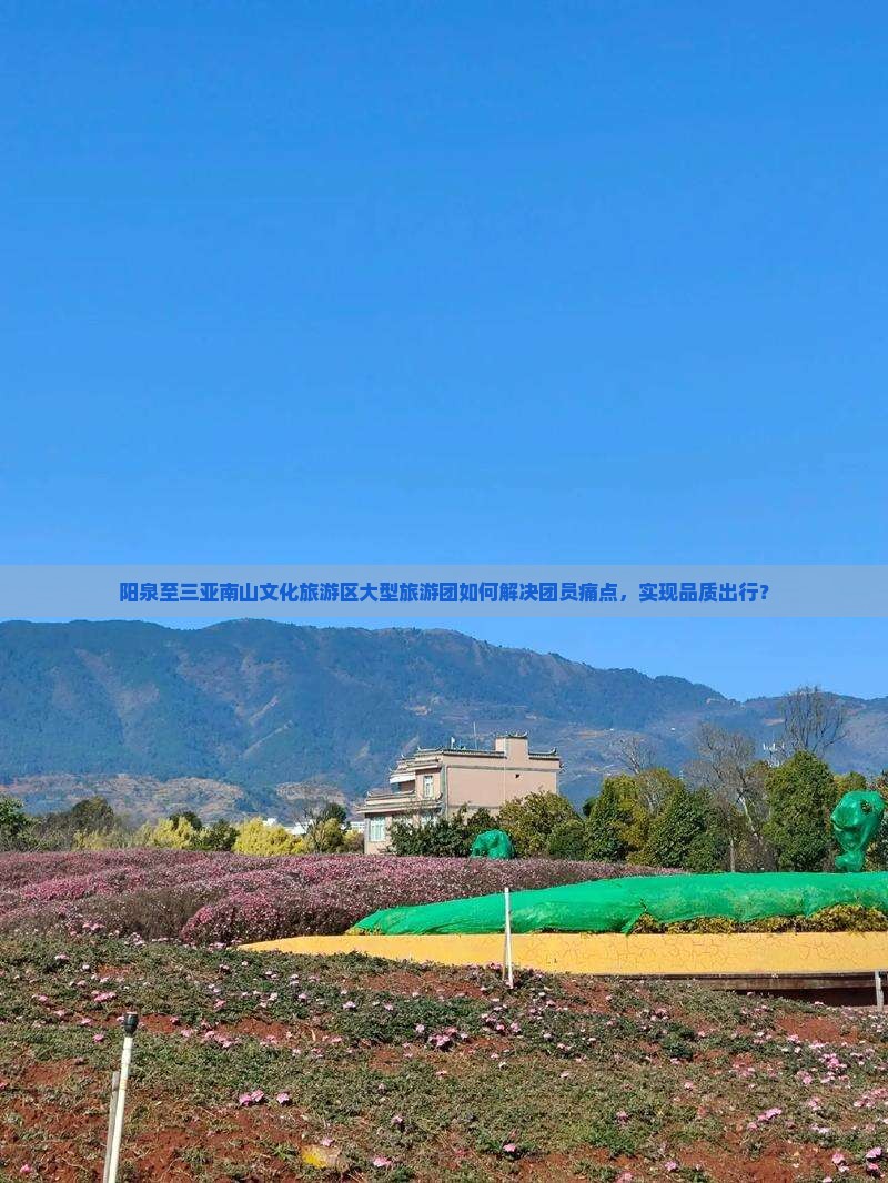 阳泉至三亚南山文化旅游区大型旅游团如何解决团员痛点，实现品质出行？