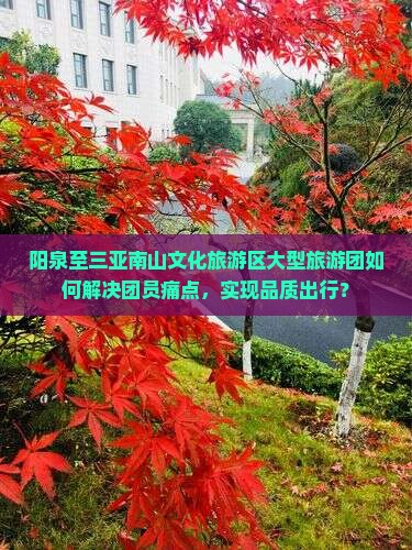 阳泉至三亚南山文化旅游区大型旅游团如何解决团员痛点，实现品质出行？
