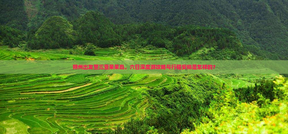 朔州出发至三亚呆呆岛，六日深度游攻略与行程安排是怎样的？