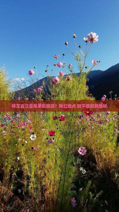 林芝去三亚呆呆岛旅游？网红地点+躺平度假新地标
