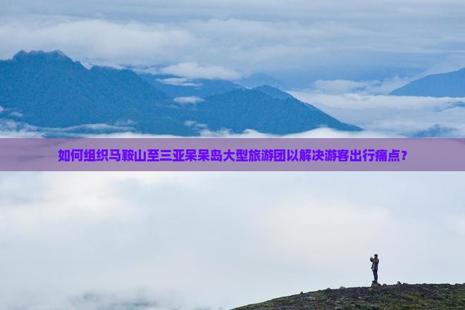 如何组织马鞍山至三亚呆呆岛大型旅游团以解决游客出行痛点？