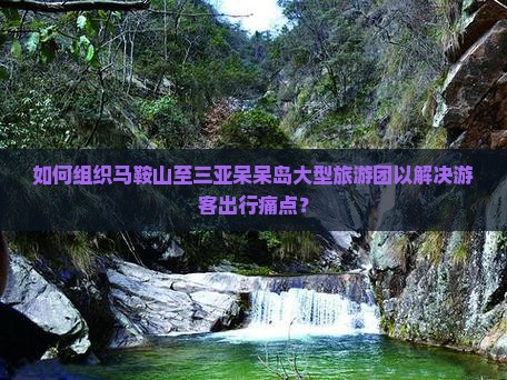 如何组织马鞍山至三亚呆呆岛大型旅游团以解决游客出行痛点？
