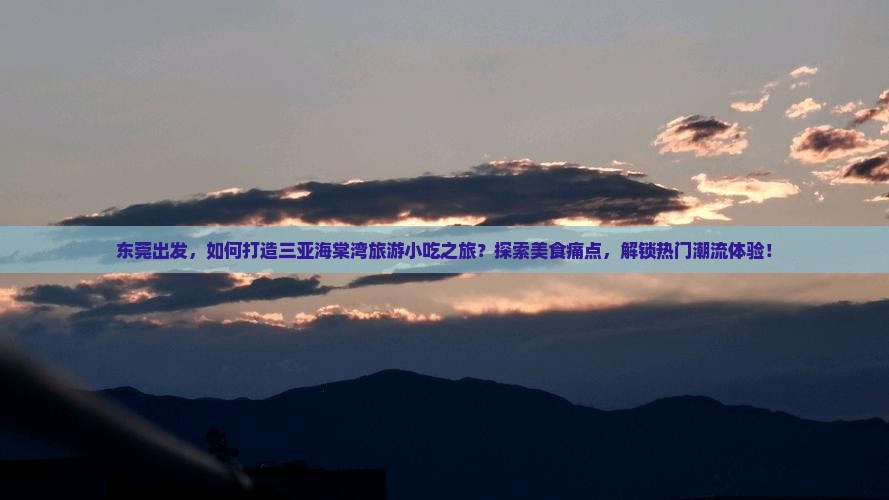 东莞出发，如何打造三亚海棠湾旅游小吃之旅？探索美食痛点，解锁热门潮流体验！