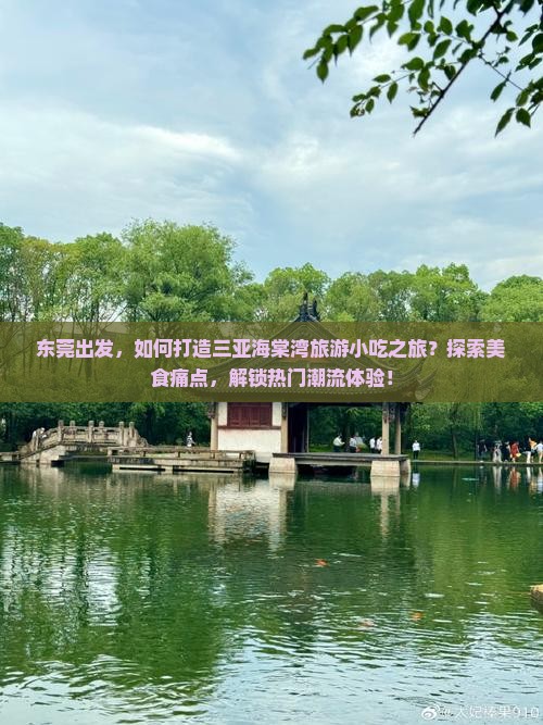 东莞出发，如何打造三亚海棠湾旅游小吃之旅？探索美食痛点，解锁热门潮流体验！