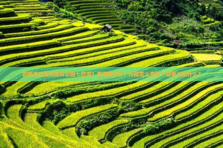 邯郸去三亚凤凰岭公园七日游？费用是多少？行程怎么安排？需要注意什么？