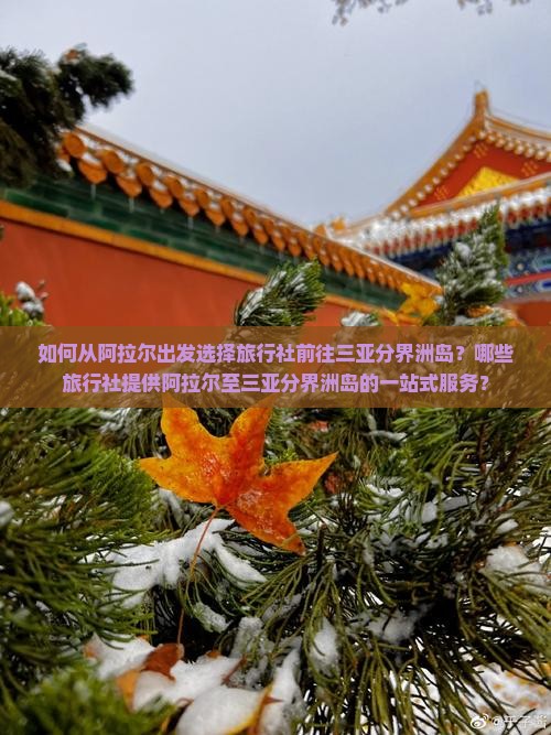 如何从阿拉尔出发选择旅行社前往三亚分界洲岛？哪些旅行社提供阿拉尔至三亚分界洲岛的一站式服务？