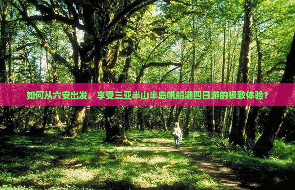 如何从六安出发，享受三亚半山半岛帆船港四日游的极致体验？