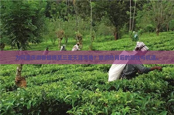 为何重庆游客蜂拥至三亚天涯海角？旅游热背后的隐忧与机遇。